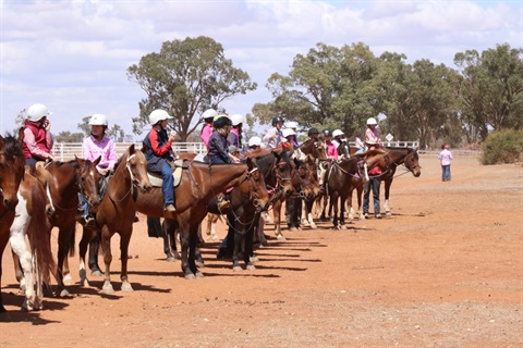 Row of horses and riders