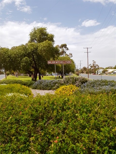 Major Mitchell Park - Condobolin